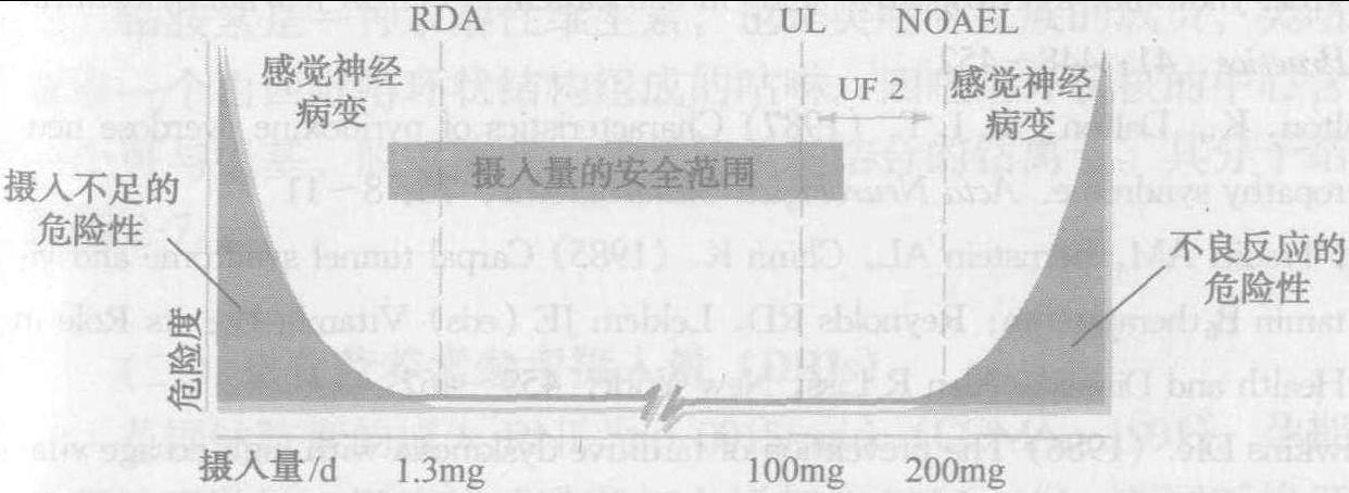 四、維生素B<sub>6</sub>